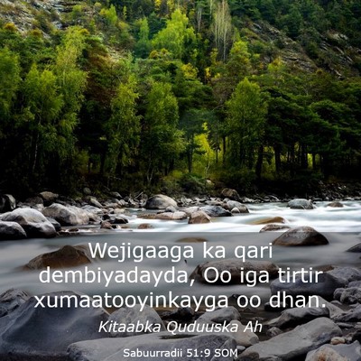 Picture 03 - Sabuurradii 51:9 SOM - Wejigaaga ka qari dembiyadayda, Oo iga tirtir - Bible Verse Picture