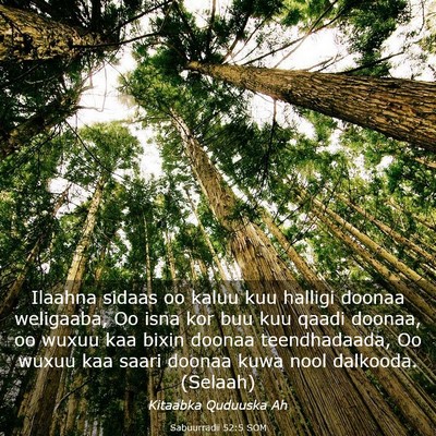 Picture 03 - Sabuurradii 52:5 SOM - Ilaahna sidaas oo kaluu kuu halligi doonaa - Bible Verse Picture