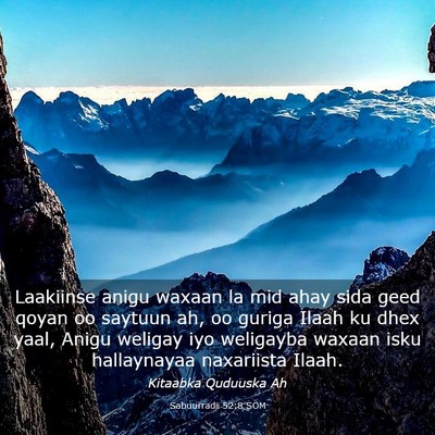 Picture 03 - Sabuurradii 52:8 SOM - Laakiinse anigu waxaan la mid ahay sida geed - Bible Verse Picture