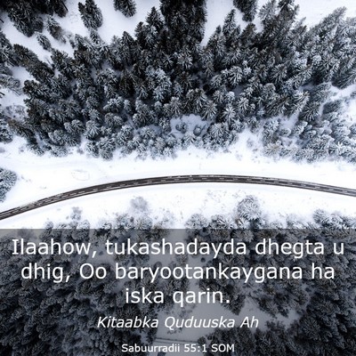 Picture 03 - Sabuurradii 55:1 SOM - Ilaahow, tukashadayda dhegta u dhig, Oo - Bible Verse Picture