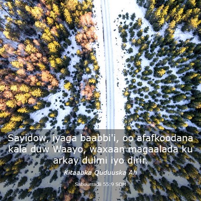 Picture 03 - Sabuurradii 55:9 SOM - Sayidow, iyaga baabbi'i, oo afafkoodana kala duw - Bible Verse Picture