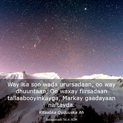 Picture 03 - Sabuurradii 56:6 SOM - Way isa soo wada urursadaan, oo way dhuuntaan, Oo - Bible Verse Picture