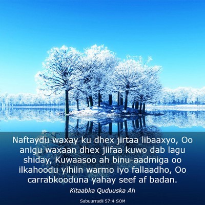 Picture 03 - Sabuurradii 57:4 SOM - Naftaydu waxay ku dhex jirtaa libaaxyo, Oo anigu - Bible Verse Picture