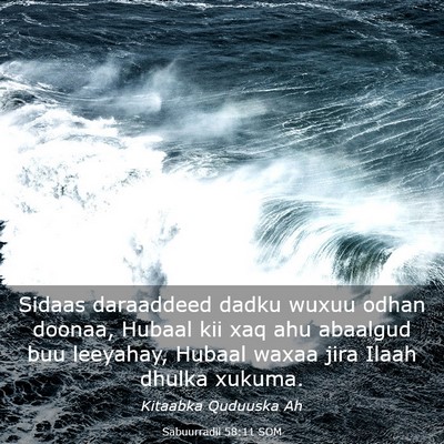 Picture 03 - Sabuurradii 58:11 SOM - Sidaas daraaddeed dadku wuxuu odhan doonaa, - Bible Verse Picture