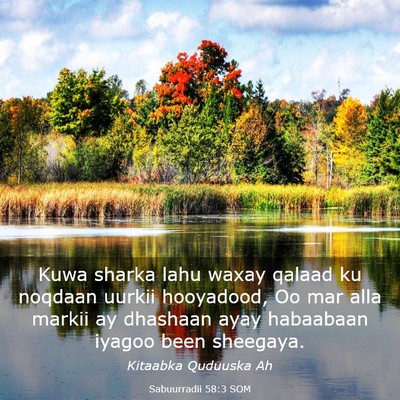 Picture 03 - Sabuurradii 58:3 SOM - Kuwa sharka lahu waxay qalaad ku noqdaan uurkii - Bible Verse Picture