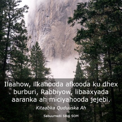 Picture 03 - Sabuurradii 58:6 SOM - Ilaahow, ilkahooda afkooda ku dhex burburi, - Bible Verse Picture