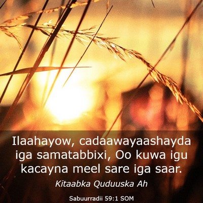 Picture 03 - Sabuurradii 59:1 SOM - Ilaahayow, cadaawayaashayda iga samatabbixi, Oo - Bible Verse Picture