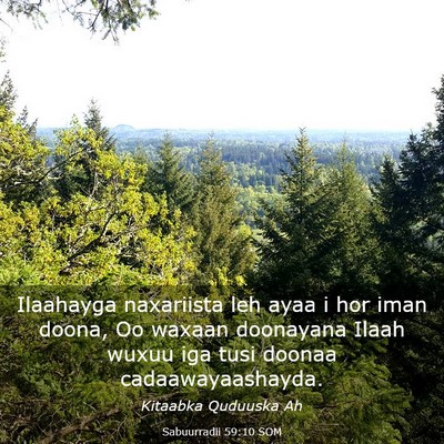 Picture 03 - Sabuurradii 59:10 SOM - Ilaahayga naxariista leh ayaa i hor iman doona, - Bible Verse Picture
