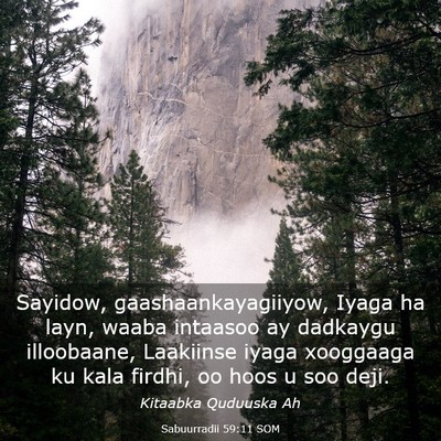 Picture 03 - Sabuurradii 59:11 SOM - Sayidow, gaashaankayagiiyow, Iyaga ha layn, waaba - Bible Verse Picture