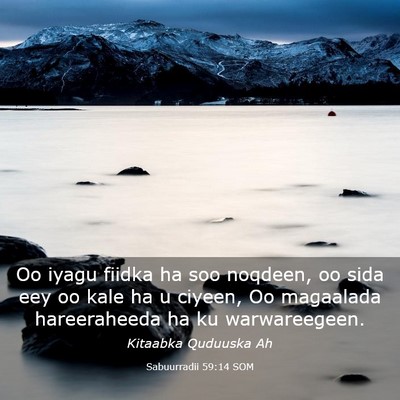 Picture 03 - Sabuurradii 59:14 SOM - Oo iyagu fiidka ha soo noqdeen, oo sida eey oo - Bible Verse Picture