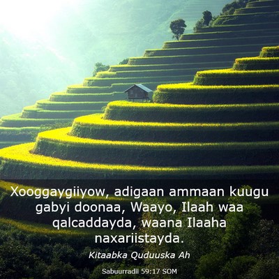 Picture 03 - Sabuurradii 59:17 SOM - Xooggaygiiyow, adigaan ammaan kuugu gabyi doonaa, - Bible Verse Picture