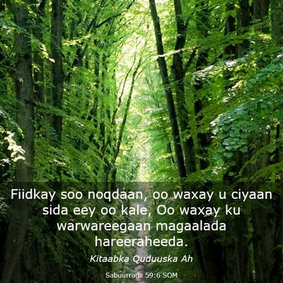 Picture 03 - Sabuurradii 59:6 SOM - Fiidkay soo noqdaan, oo waxay u ciyaan sida eey - Bible Verse Picture