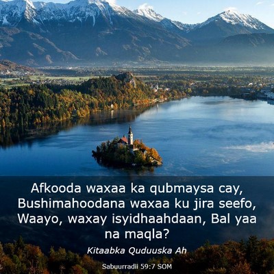 Picture 03 - Sabuurradii 59:7 SOM - Afkooda waxaa ka qubmaysa cay, Bushimahoodana - Bible Verse Picture