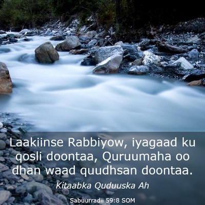 Picture 03 - Sabuurradii 59:8 SOM - Laakiinse Rabbiyow, iyagaad ku qosli doontaa, - Bible Verse Picture