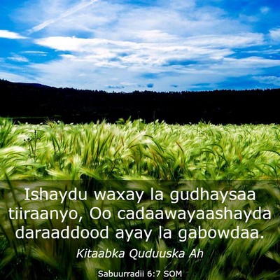 Picture 03 - Sabuurradii 6:7 SOM - Ishaydu waxay la gudhaysaa tiiraanyo, Oo - Bible Verse Picture