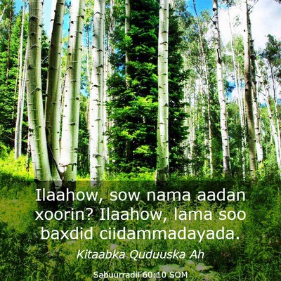 Picture 03 - Sabuurradii 60:10 SOM - Ilaahow, sow nama aadan xoorin? Ilaahow, lama soo - Bible Verse Picture