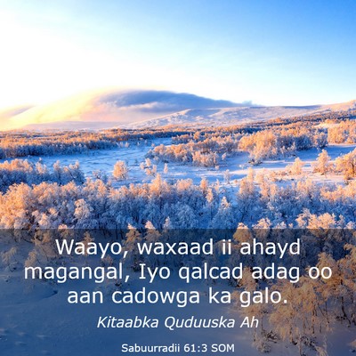 Picture 03 - Sabuurradii 61:3 SOM - Waayo, waxaad ii ahayd magangal, Iyo qalcad adag - Bible Verse Picture