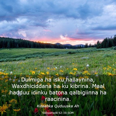 Picture 03 - Sabuurradii 62:10 SOM - Dulmiga ha isku hallaynina, Waxdhiciddana ha ku - Bible Verse Picture
