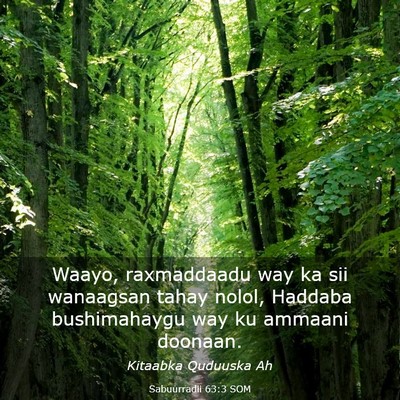 Picture 03 - Sabuurradii 63:3 SOM - Waayo, raxmaddaadu way ka sii wanaagsan tahay - Bible Verse Picture