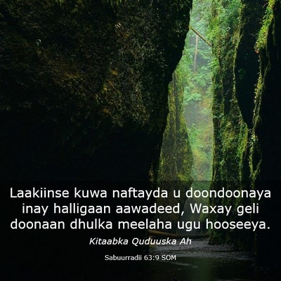 Picture 03 - Sabuurradii 63:9 SOM - Laakiinse kuwa naftayda u doondoonaya inay - Bible Verse Picture