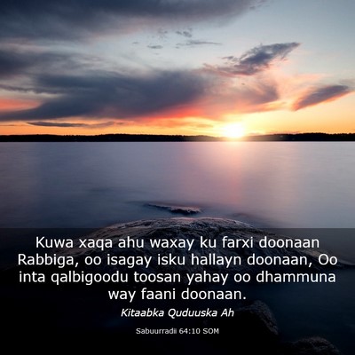 Picture 03 - Sabuurradii 64:10 SOM - Kuwa xaqa ahu waxay ku farxi doonaan Rabbiga, oo - Bible Verse Picture