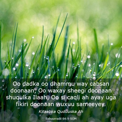 Picture 03 - Sabuurradii 64:9 SOM - Oo dadka oo dhammu way cabsan doonaan, Oo waxay - Bible Verse Picture