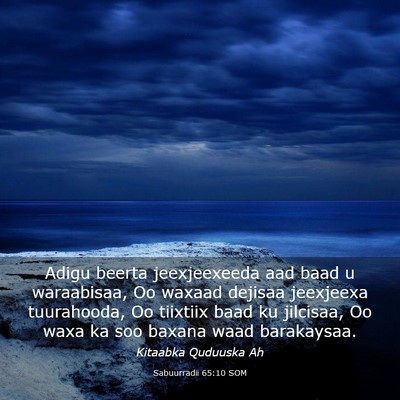 Picture 03 - Sabuurradii 65:10 SOM - Adigu beerta jeexjeexeeda aad baad u waraabisaa, - Bible Verse Picture