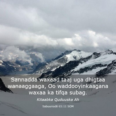 Picture 03 - Sabuurradii 65:11 SOM - Sannadda waxaad taaj uga dhigtaa wanaaggaaga, Oo - Bible Verse Picture