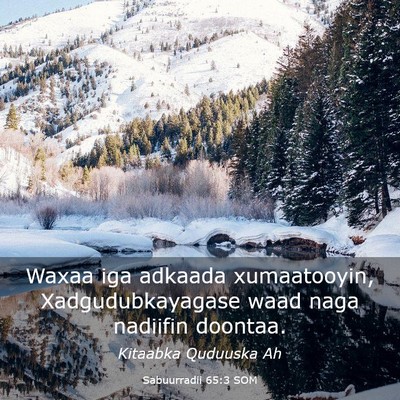 Picture 03 - Sabuurradii 65:3 SOM - Waxaa iga adkaada xumaatooyin, Xadgudubkayagase - Bible Verse Picture