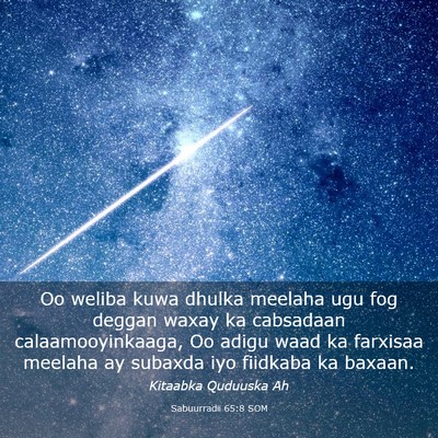 Picture 03 - Sabuurradii 65:8 SOM - Oo weliba kuwa dhulka meelaha ugu fog deggan - Bible Verse Picture