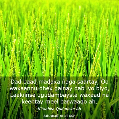 Picture 03 - Sabuurradii 66:12 SOM - Dad baad madaxa naga saartay, Oo waxaannu dhex - Bible Verse Picture