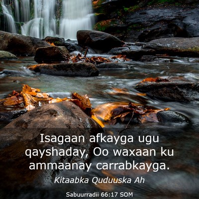 Picture 03 - Sabuurradii 66:17 SOM - Isagaan afkayga ugu qayshaday, Oo waxaan ku - Bible Verse Picture