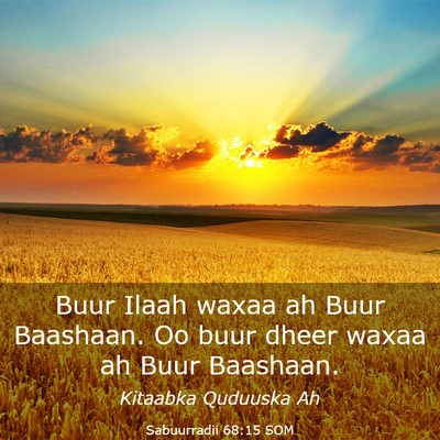Picture 03 - Sabuurradii 68:15 SOM - Buur Ilaah waxaa ah Buur Baashaan. Oo buur dheer - Bible Verse Picture