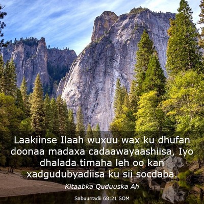 Picture 03 - Sabuurradii 68:21 SOM - Laakiinse Ilaah wuxuu wax ku dhufan doonaa madaxa - Bible Verse Picture