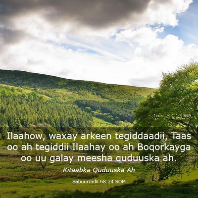 Picture 03 - Sabuurradii 68:24 SOM - Ilaahow, waxay arkeen tegiddaadii, Taas oo ah - Bible Verse Picture