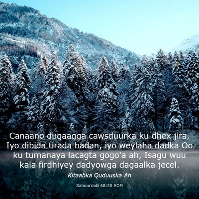Picture 03 - Sabuurradii 68:30 SOM - Canaano dugaagga cawsduurka ku dhex jira, Iyo - Bible Verse Picture