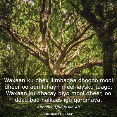 Picture 03 - Sabuurradii 69:2 SOM - Waxaan ku dhex liimbadaa dhoobo mool dheer oo aan - Bible Verse Picture