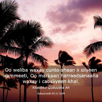 Picture 03 - Sabuurradii 69:21 SOM - Oo weliba waxay cunto ahaan ii siiyeen xammeeti, - Bible Verse Picture