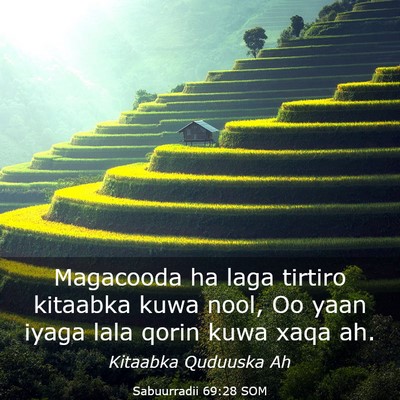 Picture 03 - Sabuurradii 69:28 SOM - Magacooda ha laga tirtiro kitaabka kuwa nool, Oo - Bible Verse Picture