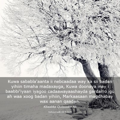 Picture 03 - Sabuurradii 69:4 SOM - Kuwa sababla'aanta ii nebcaadaa way ka sii badan - Bible Verse Picture