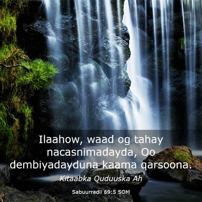 Picture 03 - Sabuurradii 69:5 SOM - Ilaahow, waad og tahay nacasnimadayda, Oo - Bible Verse Picture