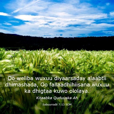 Picture 03 - Sabuurradii 7:13 SOM - Oo weliba wuxuu diyaarsaday alaabtii dhimashada, - Bible Verse Picture