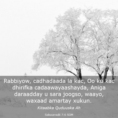 Picture 03 - Sabuurradii 7:6 SOM - Rabbiyow, cadhadaada la kac, Oo ku kac dhirifka - Bible Verse Picture