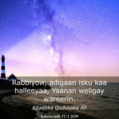 Picture 03 - Sabuurradii 71:1 SOM - Rabbiyow, adigaan isku kaa halleeyaa, Yaanan - Bible Verse Picture