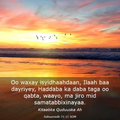 Picture 03 - Sabuurradii 71:11 SOM - Oo waxay isyidhaahdaan, Ilaah baa dayriyey, - Bible Verse Picture