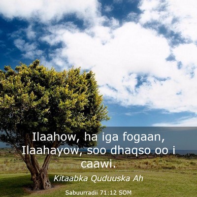 Picture 03 - Sabuurradii 71:12 SOM - Ilaahow, ha iga fogaan, Ilaahayow, soo dhaqso oo - Bible Verse Picture