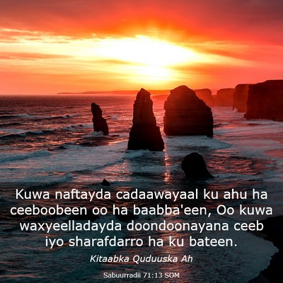 Picture 03 - Sabuurradii 71:13 SOM - Kuwa naftayda cadaawayaal ku ahu ha ceeboobeen oo - Bible Verse Picture