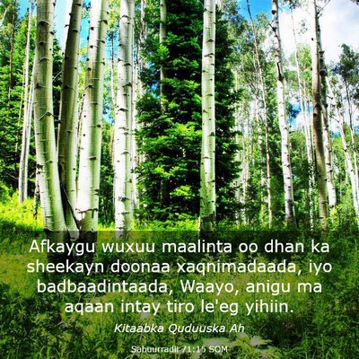 Picture 03 - Sabuurradii 71:15 SOM - Afkaygu wuxuu maalinta oo dhan ka sheekayn doonaa - Bible Verse Picture