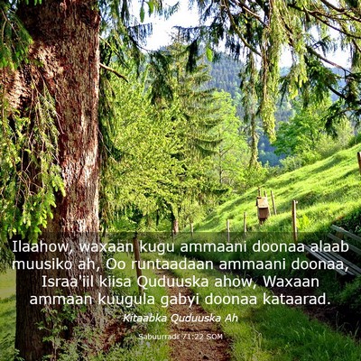 Picture 03 - Sabuurradii 71:22 SOM - Ilaahow, waxaan kugu ammaani doonaa alaab muusiko - Bible Verse Picture