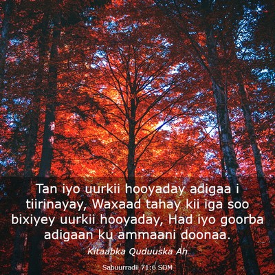 Picture 03 - Sabuurradii 71:6 SOM - Tan iyo uurkii hooyaday adigaa i tiirinayay, - Bible Verse Picture